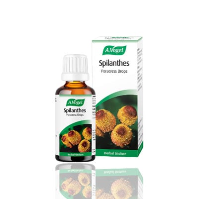 A. Vogel Spilanthes 50ml (Paracress Drops)