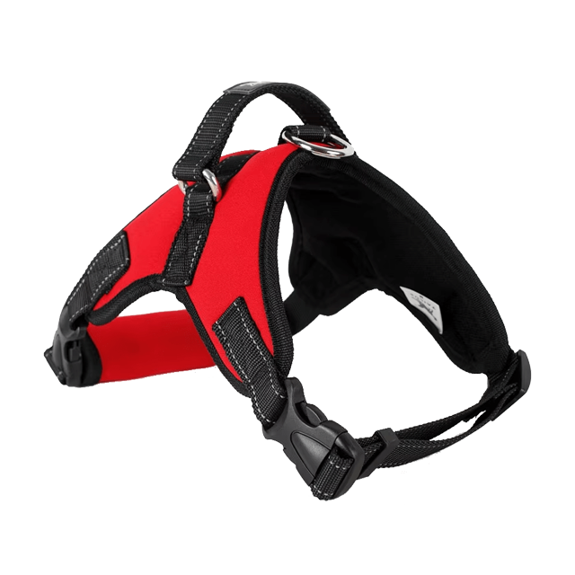 Chik Dog Harness DXBD9-12 XL