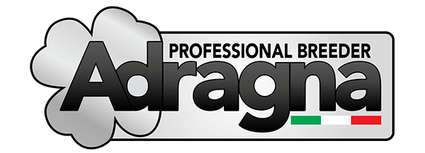 Adragna