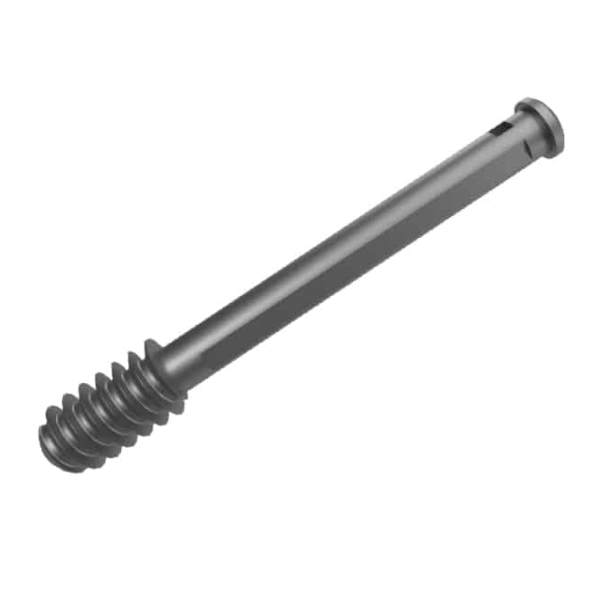 Lag Screw + Dynamic Compression Screw (DHS Compression Screw) for DHS or DCS (STD)