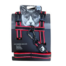 Chicos Cat Leash & Harness #Vmt-01